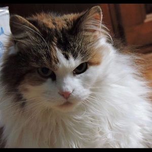 Meet your Posher, Mary